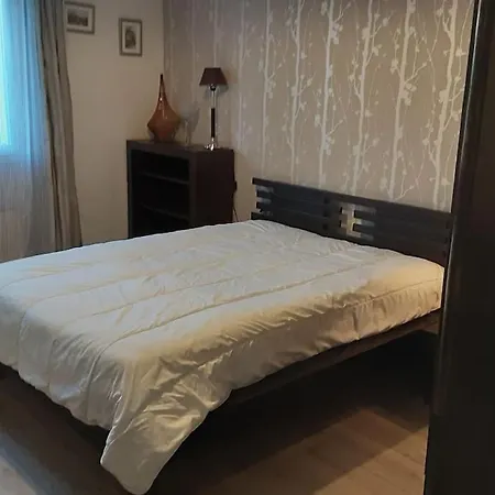 Grand T1 Meuble Saint-Flour (Cantal)